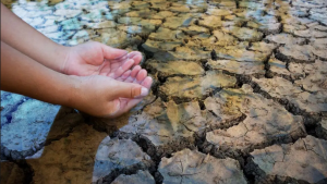 Terre sèche et craquelée