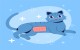 image de chat avec pansement suite &agrave; st&eacute;rilisation
