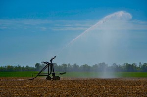 Arrosage d'un champ par grand beau temps