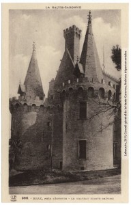 photo du château de Brax
