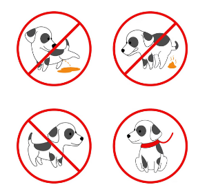 interdiction pour les chiens de crotter les toittoires