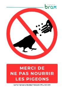Interdiction de nourrir les pigeons