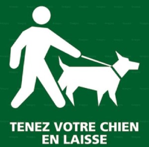 Panneau signalant qu'il faut tenir son chien en laisse